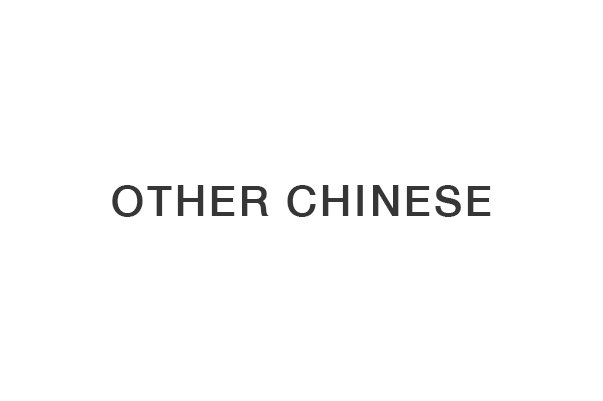 OTHER CHINESE BRANDS